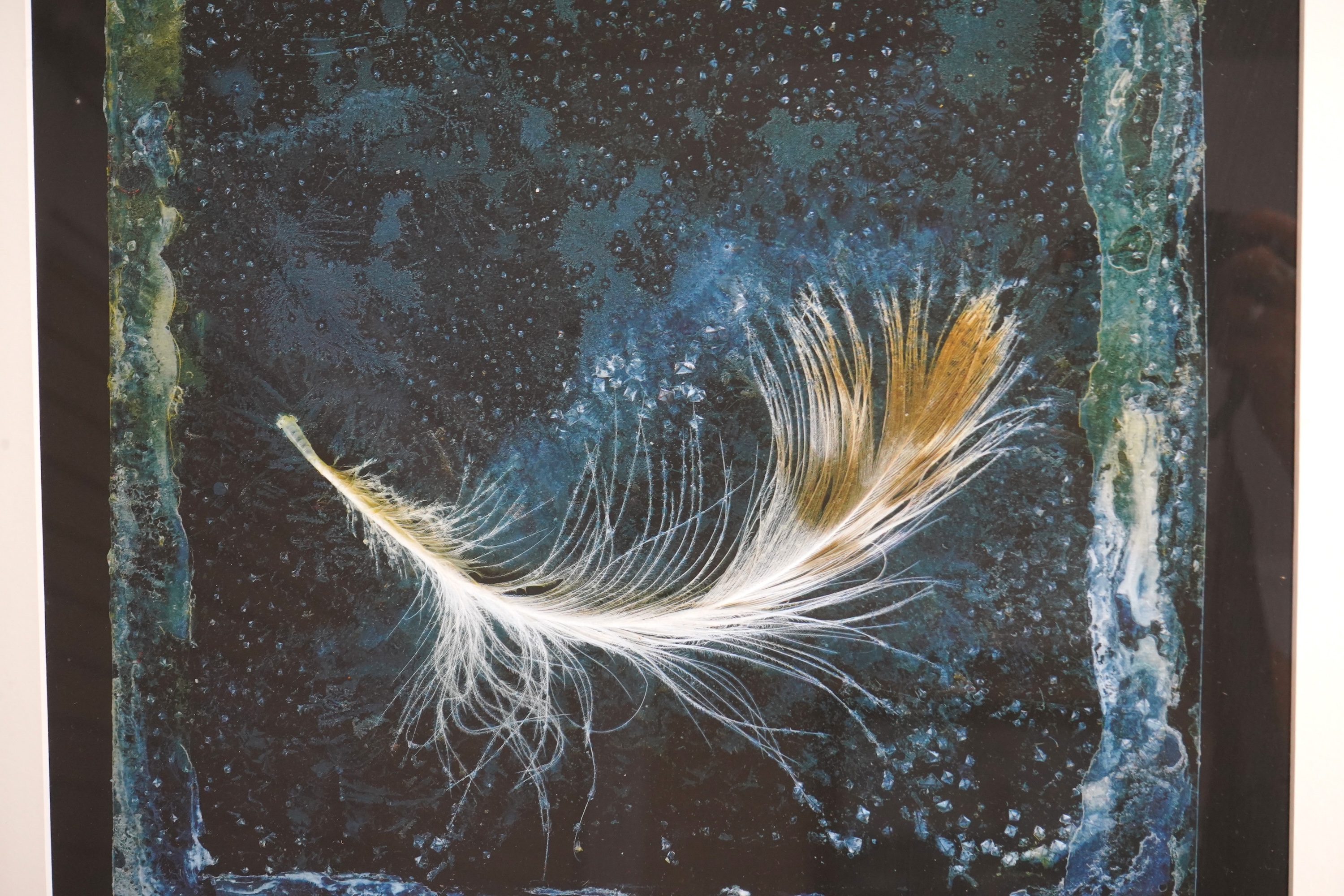 Paul Kenny (b.1951), three abstract photographic prints to include: Study of a feather and one limited edition 1/30, largest 38 x 36cm